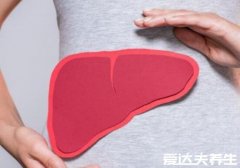 白蒿泡水喝的功效,有效保护肝脏治疗黄疸