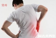 肾疼和腰疼的区别图，除了疼痛部位呈现症