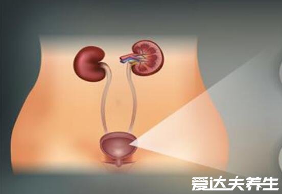 自己按摩前列腺十种手法图解,除了下腹部还有九处可保养前列腺