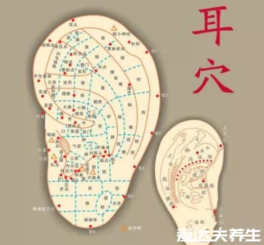 自己按摩前列腺十种手法图解,除了下腹部还有九处可保养前列腺