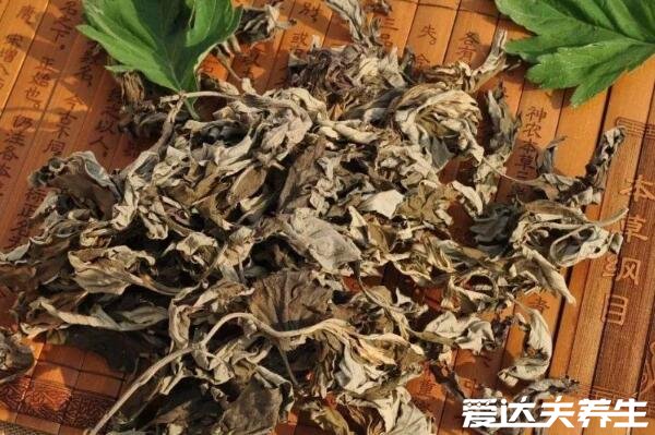 房间熏艾草的危害不大,但长期吸入有致癌风险