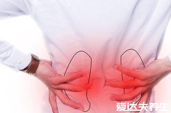 身体各个器官疼痛位置图片,原来左上腹疼痛可能是胆出了问题