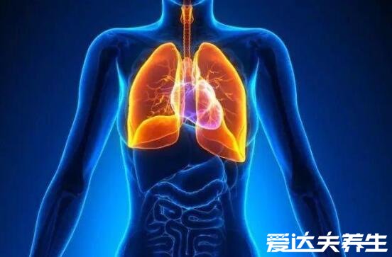 身体各个器官疼痛位置图片,原来左上腹疼痛可能是胆出了问题