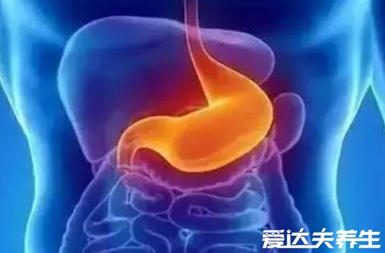 身体各个器官疼痛位置图片,原来左上腹疼痛可能是胆出了问题
