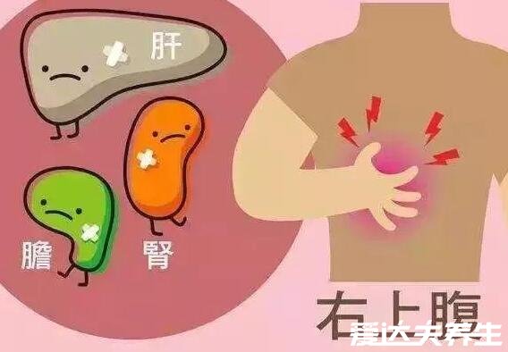 身体各个器官疼痛位置图片,原来左上腹疼痛可能是胆出了问题