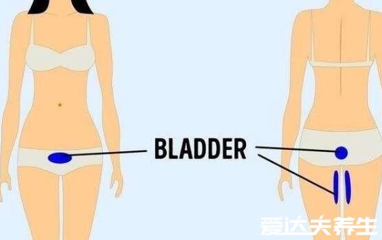 身体各个器官疼痛位置图片,原来左上腹疼痛可能是胆出了问题