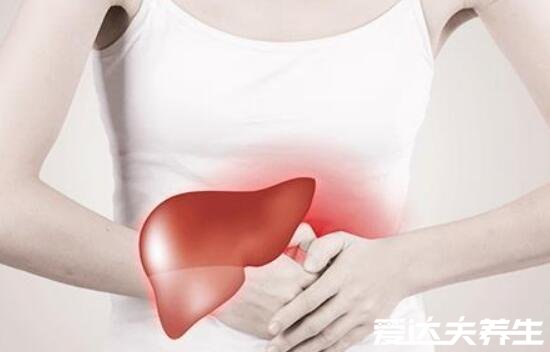 身体各个器官疼痛位置图片,原来左上腹疼痛可能是胆出了问题