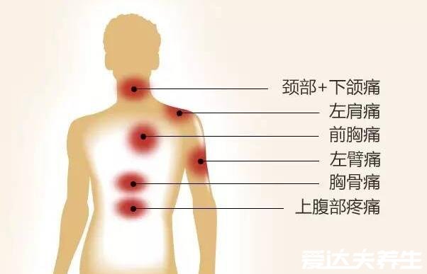后背疼痛位置图详解,后背偏下疼可能是消化系统疾病