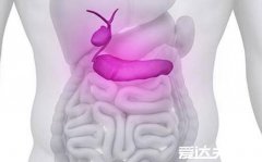 胆囊炎症状疼痛位置图,位于右上腹与胃痛