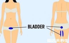 身体各个器官疼痛位置图片,原来左上腹疼