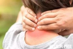 人体后背疼痛位置图详解,肩颈疼痛可能是