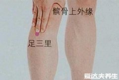 足三里的准确位置图片，两种方法教你找到