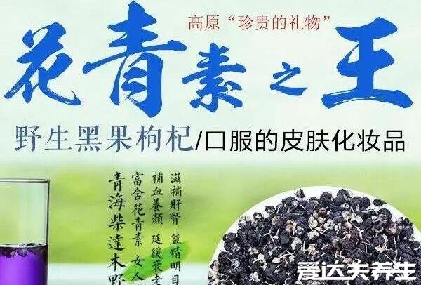 黑枸杞泡水喝的正确方法,400毫升60度以下的温水泡15粒最佳