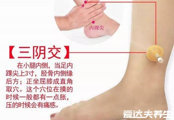 三阴焦位置图和作用,点按小腿内侧内踝尖上三寸有4大功效