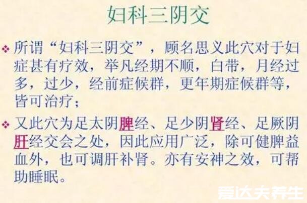 三阴焦位置图和作用,点按小腿内侧内踝尖上三寸有4大功效