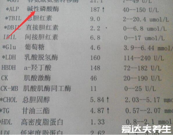 碱性磷酸酶偏高是什么意思,偏高的原因可能是肝胆疾病