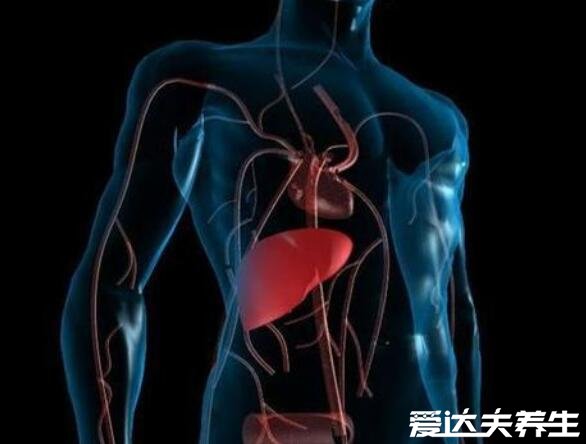 碱性磷酸酶偏高是什么意思,偏高的原因可能是肝胆疾病