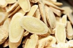 哪些人不适合喝黄芪水,阴虚火旺和风热感