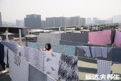 怎么判断床上有螨虫,暴晒或用螨虫检测试