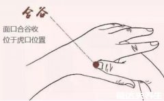 落枕了3分钟拯救你脖子，按压合谷穴亲测有