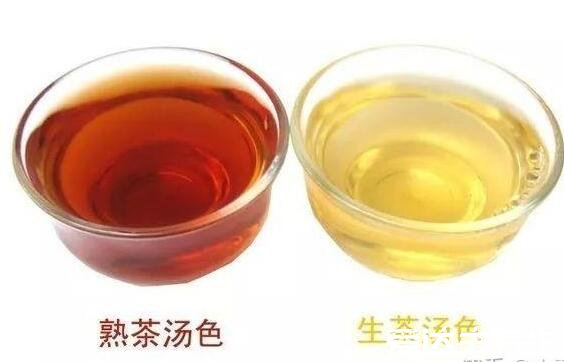 普洱茶生茶好还是熟茶好,从香味上来说生茶略输一筹