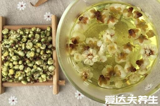白梅花和玫瑰花泡水喝的功效,不仅可以美容养颜还能治疗阳痿