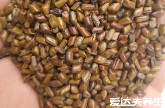 决明子泡水喝竟有6个害处,对女性伤害尤为大影响生育还诱发早产