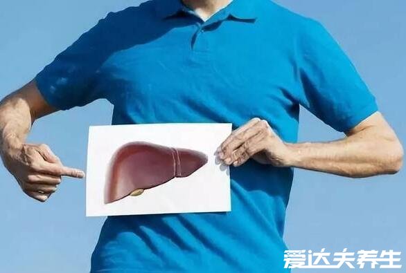男性肝脏不好的4个表现,容易疲倦还会导致性欲下降