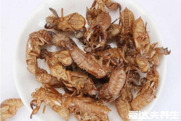 蝉蜕的功效与作用及食用方法，煮成粥食用有清热解挛等4大功效
