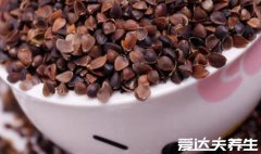 决明子泡水喝竟有6个害处,对女性伤害尤为