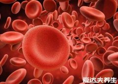 地中海贫血有什么症状,轻者会出现肝脾肿