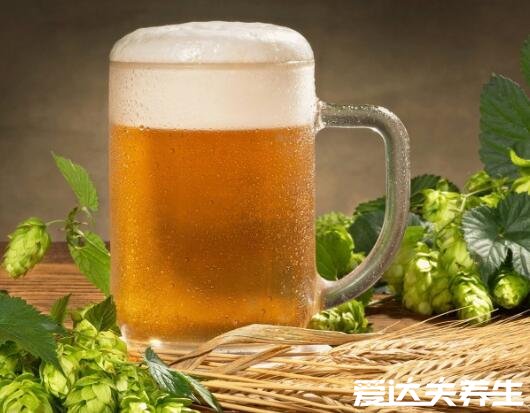 1瓶啤酒几小时吹不出来,长的十小时短的三小时(附酒驾处罚)
