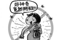 维生素b1的作用及功能,不仅能驱蚊还能促消