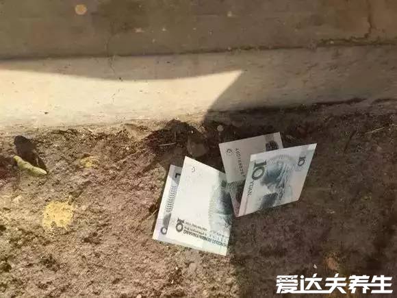 民间最忌讳的十件东西不能捡,轻则走霉运重则生病死亡