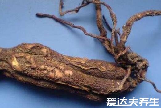 何首乌的正确吃法，不仅能生吃用来泡水泡酒也非常好