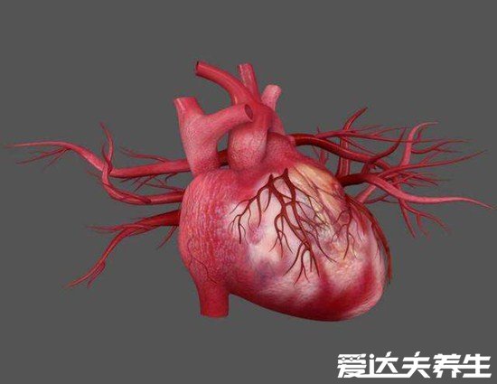 造成肌酸激酶偏高的原因,不一定生病可能只是太累了