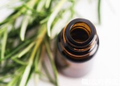 迷迭香精油的功效与作用,护肤增发(熬夜少