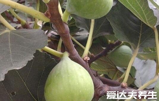 盐水洗痔疮居然好了,4种让人意想不到的治痔疮方法