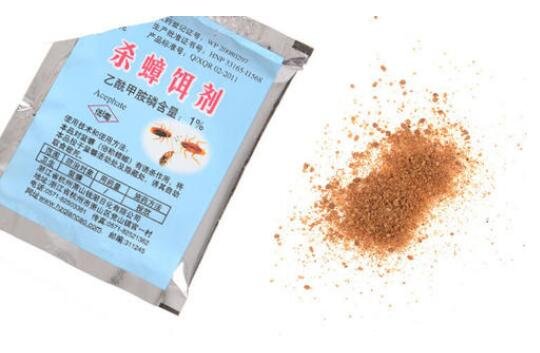 蟑螂为什么不能用脚踩,加快繁殖越踩越多(内附去除蟑螂小妙招)