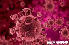 hpv阳性是什么意思,人乳头瘤病毒(hpv)不一定