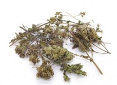 香薷泡水喝可以治疗口臭吗,不仅缓解口臭