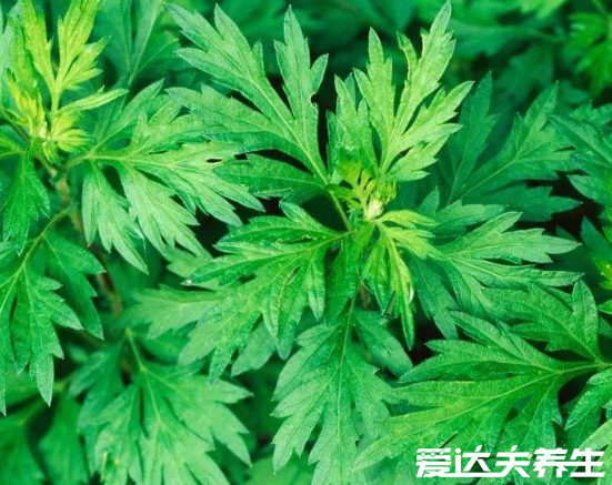 螨虫最怕这3种东西,好好利用螨虫全死光