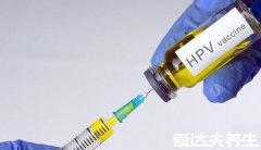 各价阶hpv疫苗适合什么年龄,九价的只能是