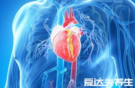 哪个器官最怕冷,了解这些及时做好防护