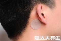 晕车贴贴哪里示意图,耳后肚脐都是最佳选