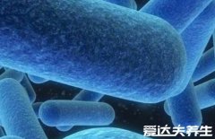 得了霉菌一辈子就完了,霉菌并没有那么可