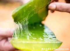 新鲜芦荟涂脸正确方法，涂抹之前要清洗脸
