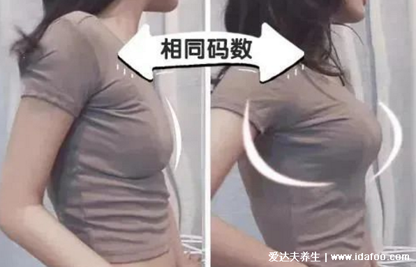 女人长副乳图片,教你怎么判断是副乳还是赘肉