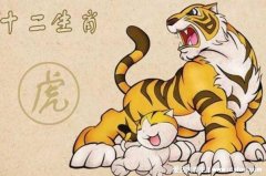 2022年属虎的是什么命几月份好，水虎金命百