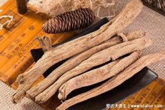 房颤最怕一味中药，党参/元胡/苓桂术甘汤